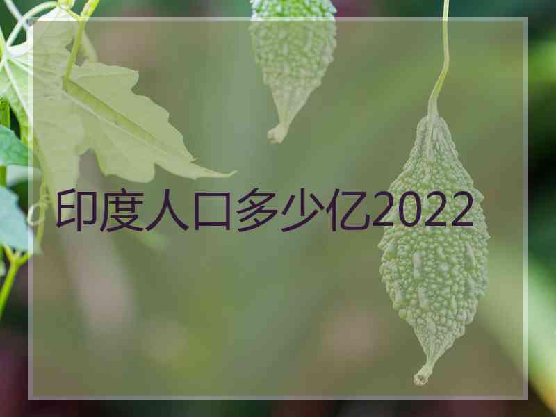 印度人口多少亿2022