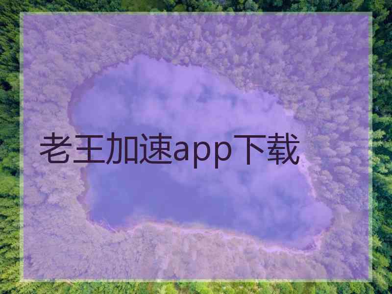 老王加速app下载