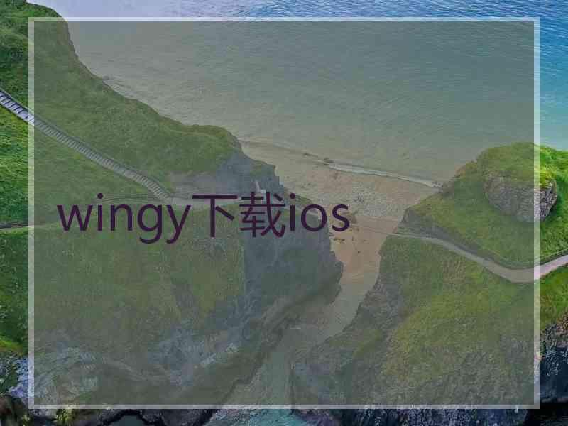 wingy下载ios