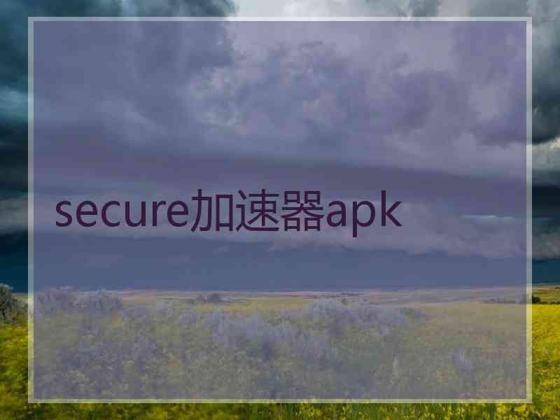 secure加速器apk