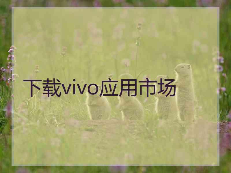 下载vivo应用市场