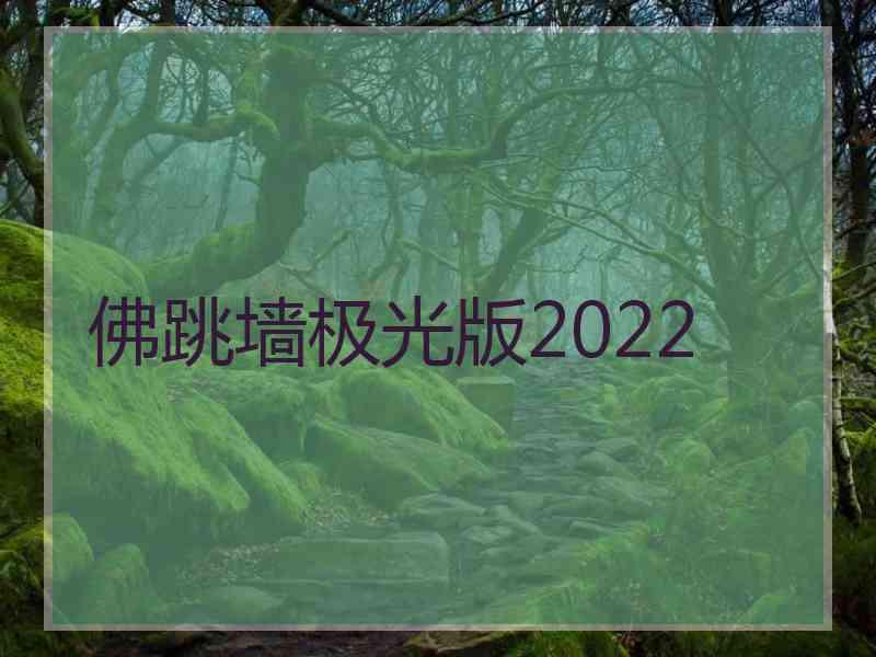 佛跳墙极光版2022