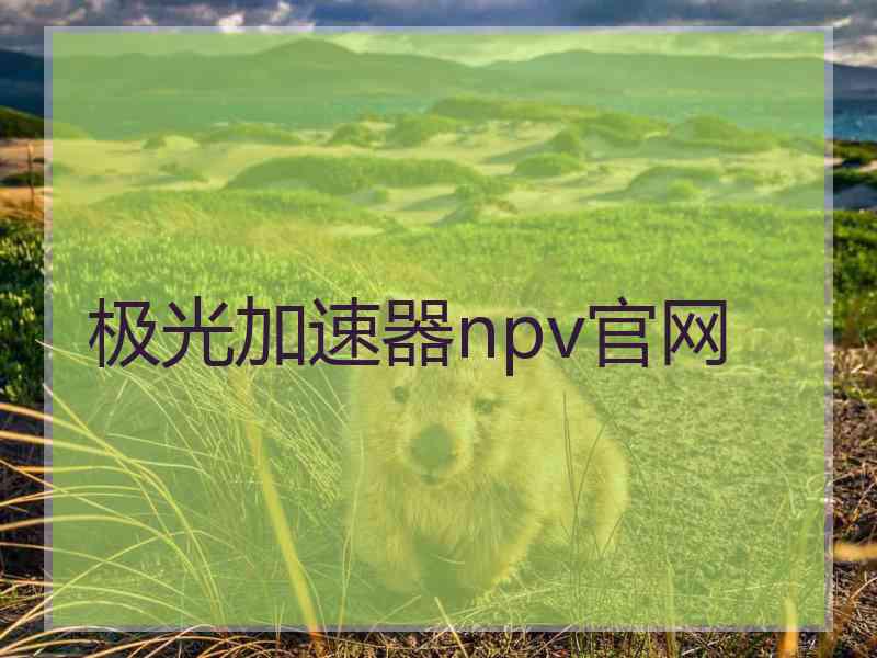 极光加速器npv官网