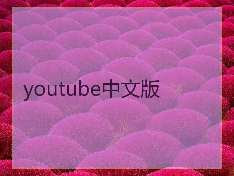 youtube中文版