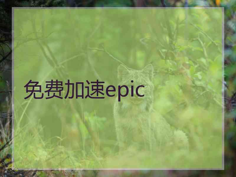 免费加速epic