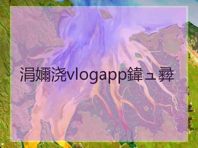 涓嬭浇vlogapp鍏ュ彛