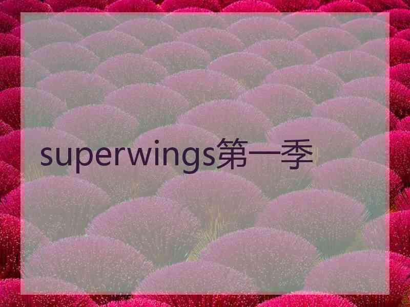 superwings第一季