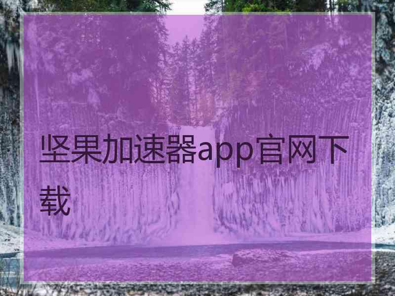 坚果加速器app官网下载