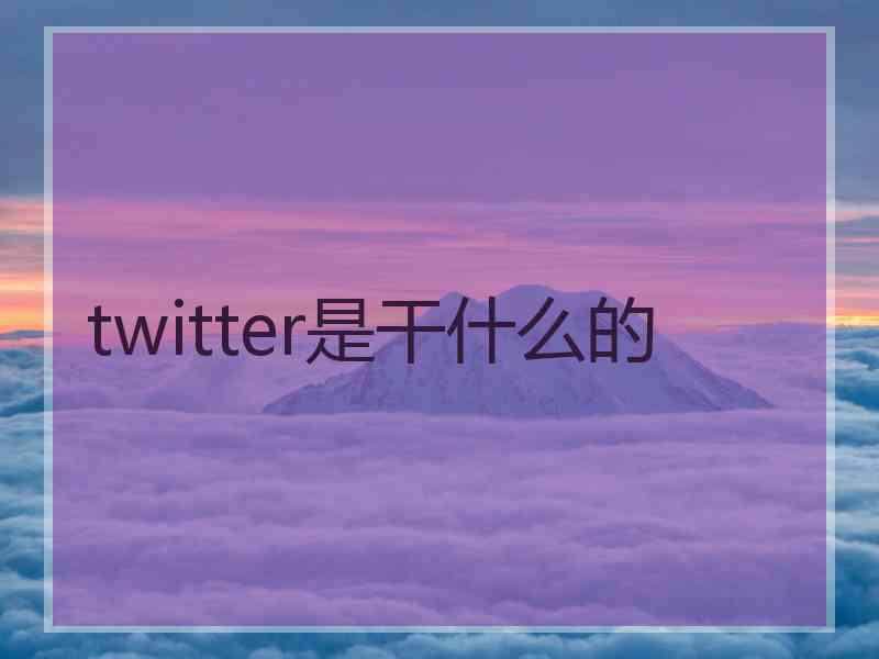 twitter是干什么的