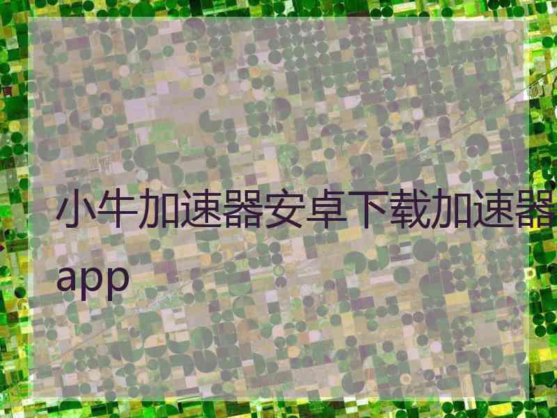 小牛加速器安卓下载加速器app