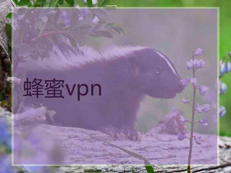 蜂蜜vpn