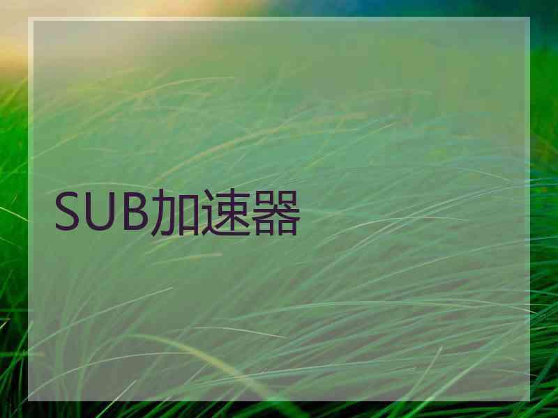 SUB加速器