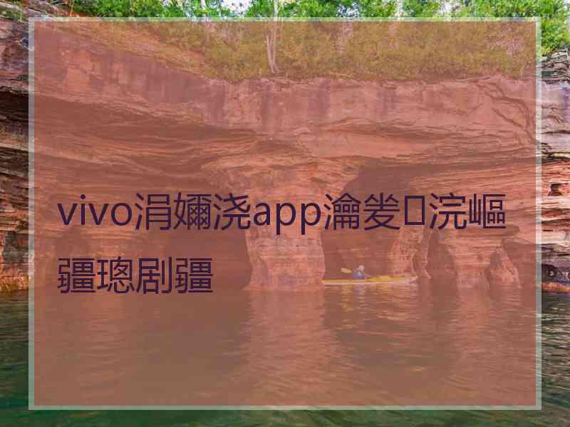 vivo涓嬭浇app瀹夎浣嶇疆璁剧疆