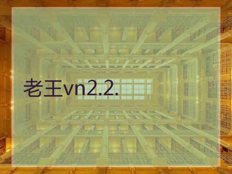 老王vn2.2.