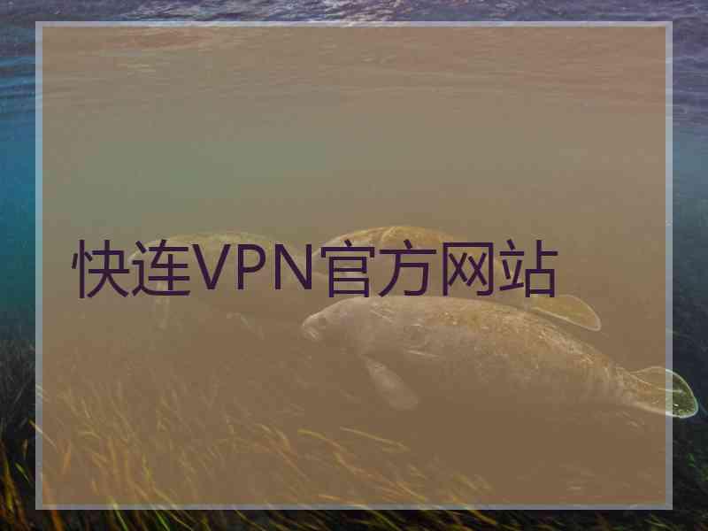 快连VPN官方网站