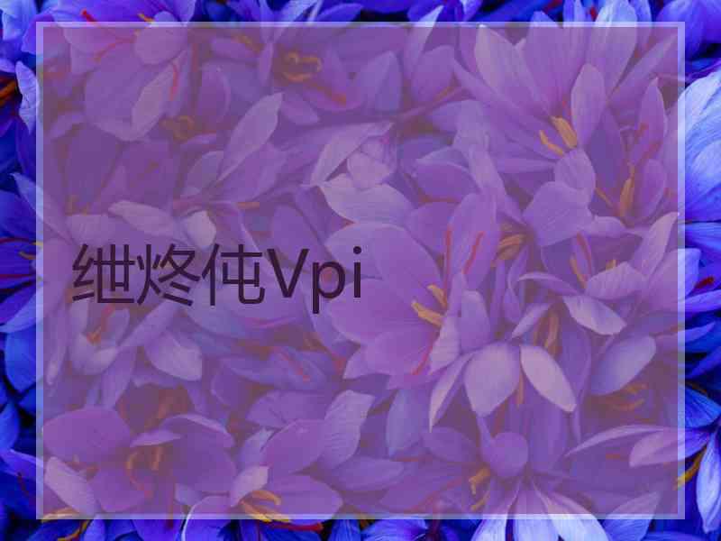 绁炵伅Vpi