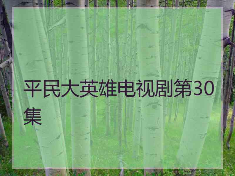 平民大英雄电视剧第30集