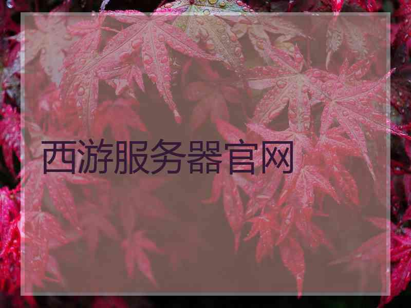 西游服务器官网