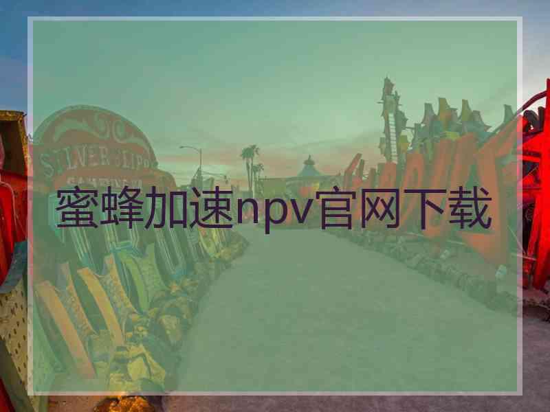 蜜蜂加速npv官网下载