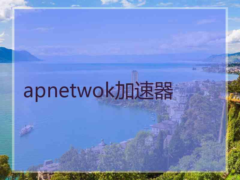 apnetwok加速器