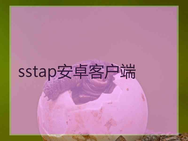 sstap安卓客户端