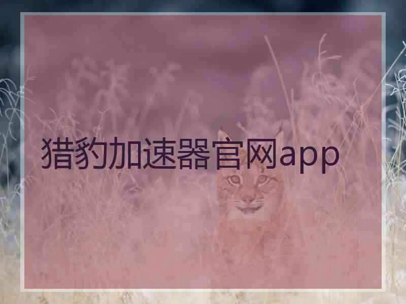 猎豹加速器官网app