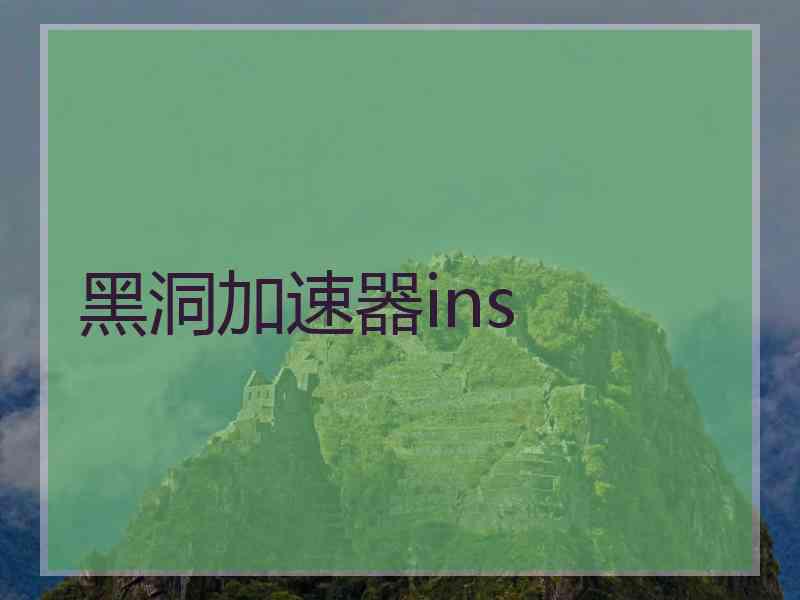 黑洞加速器ins