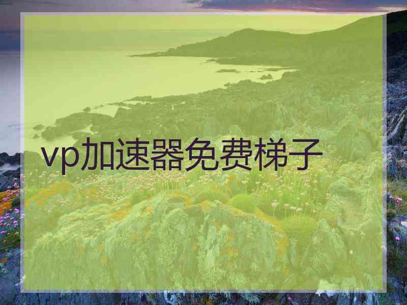 vp加速器免费梯子