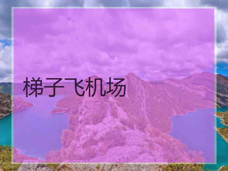 梯子飞机场