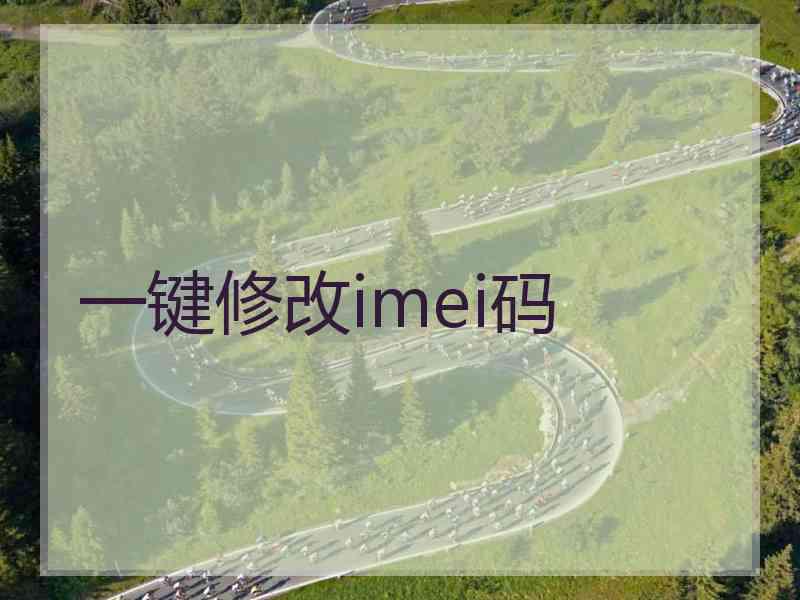 一键修改imei码