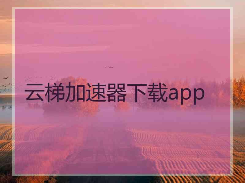 云梯加速器下载app