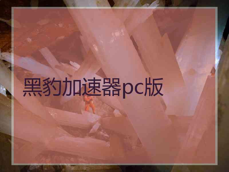 黑豹加速器pc版