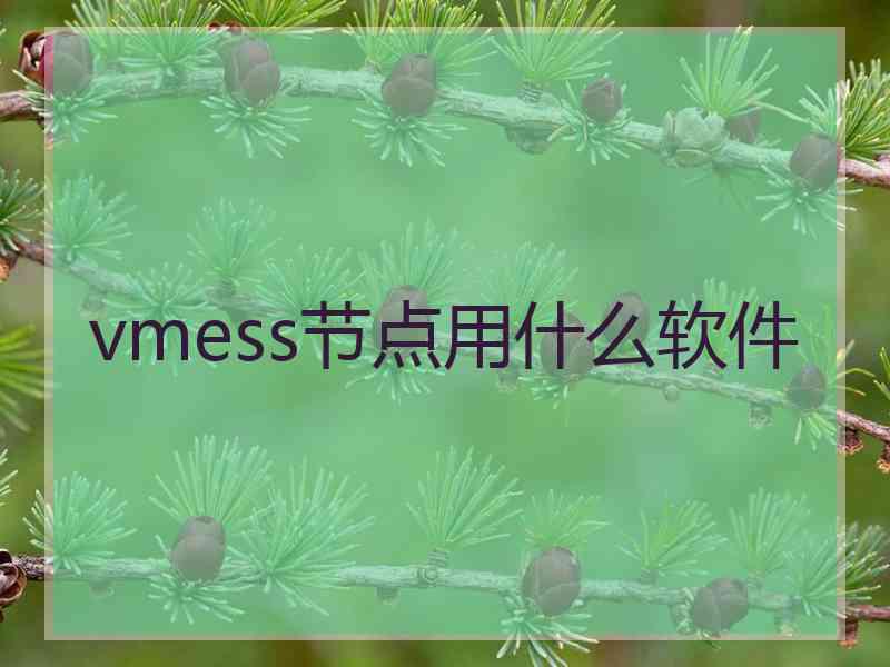 vmess节点用什么软件