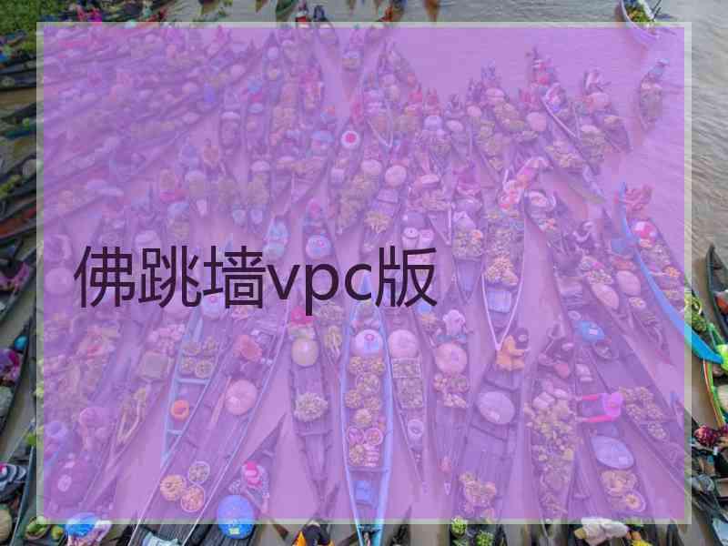 佛跳墙vpc版