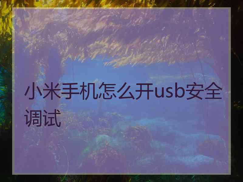 小米手机怎么开usb安全调试