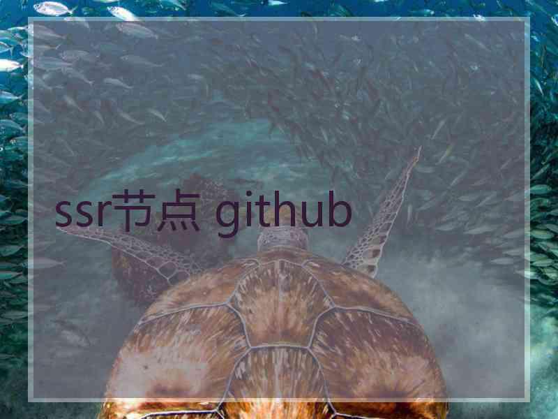 ssr节点 github