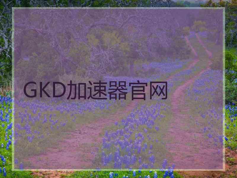 GKD加速器官网