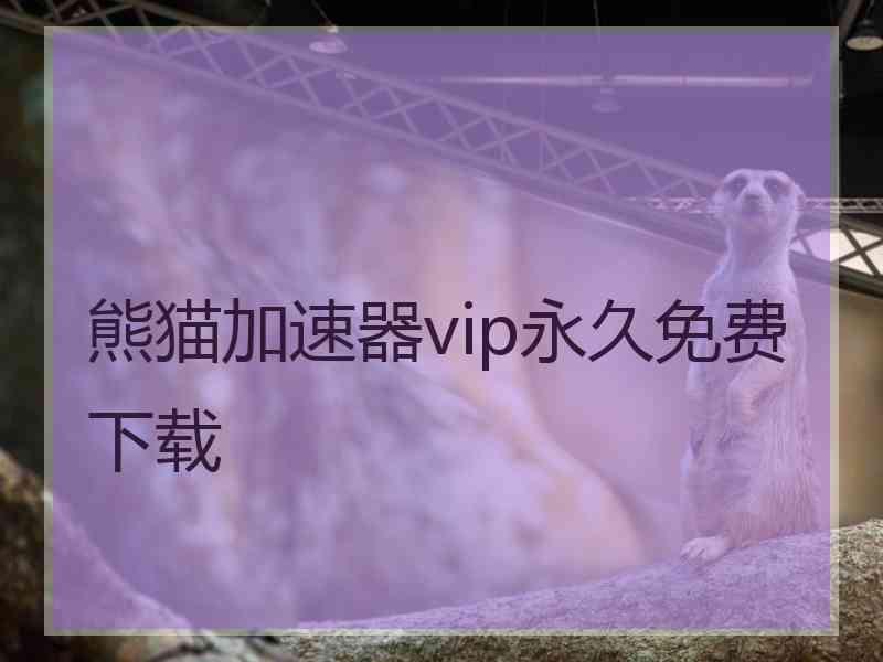 熊猫加速器vip永久免费下载