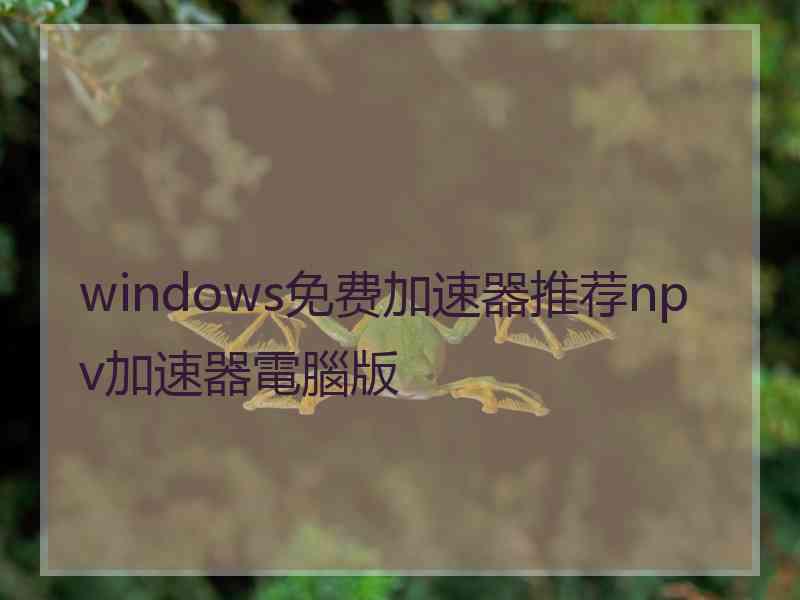 windows免费加速器推荐npv加速器電腦版