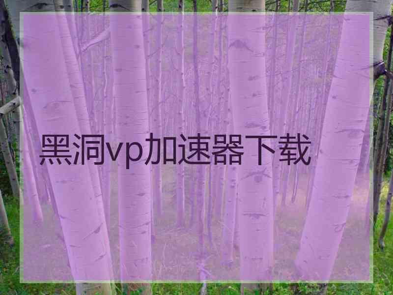 黑洞vp加速器下载