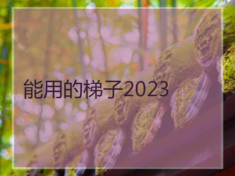 能用的梯子2023