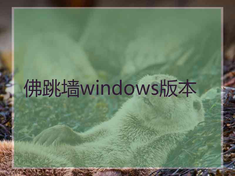 佛跳墙windows版本