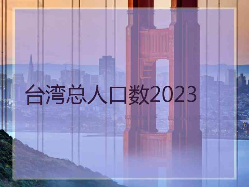 台湾总人口数2023