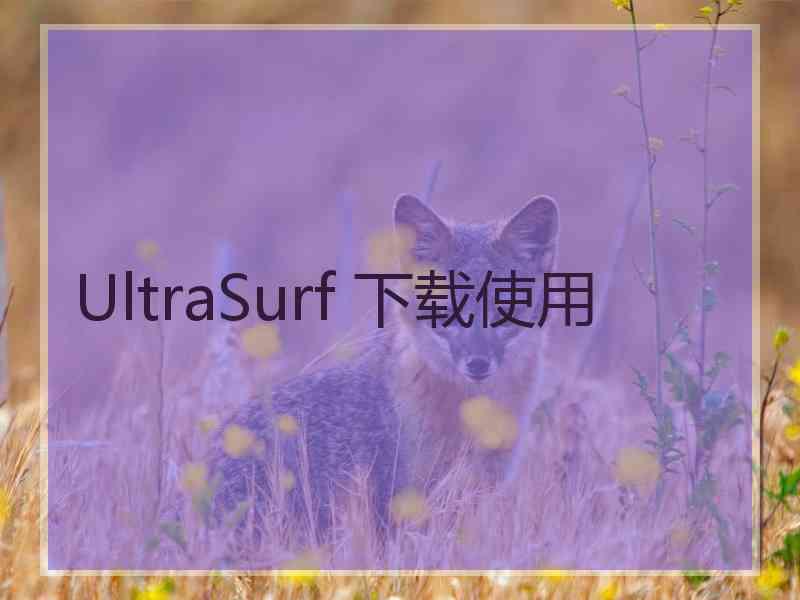 UltraSurf 下载使用