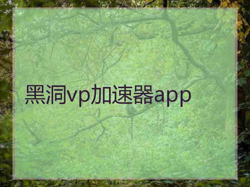 黑洞vp加速器app