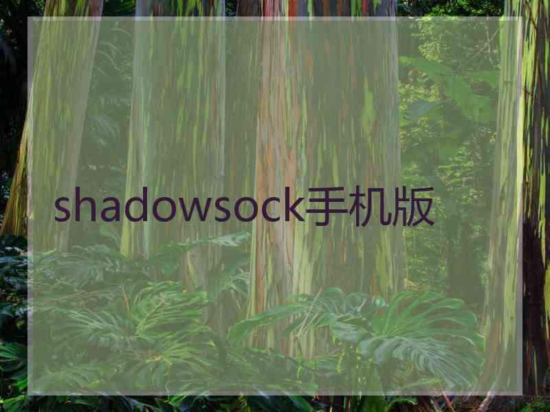 shadowsock手机版