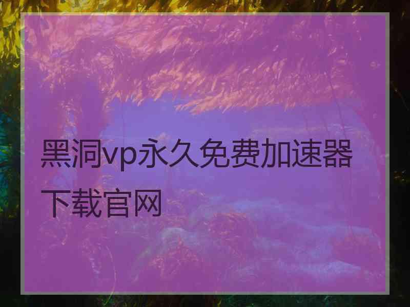 黑洞vp永久免费加速器下载官网