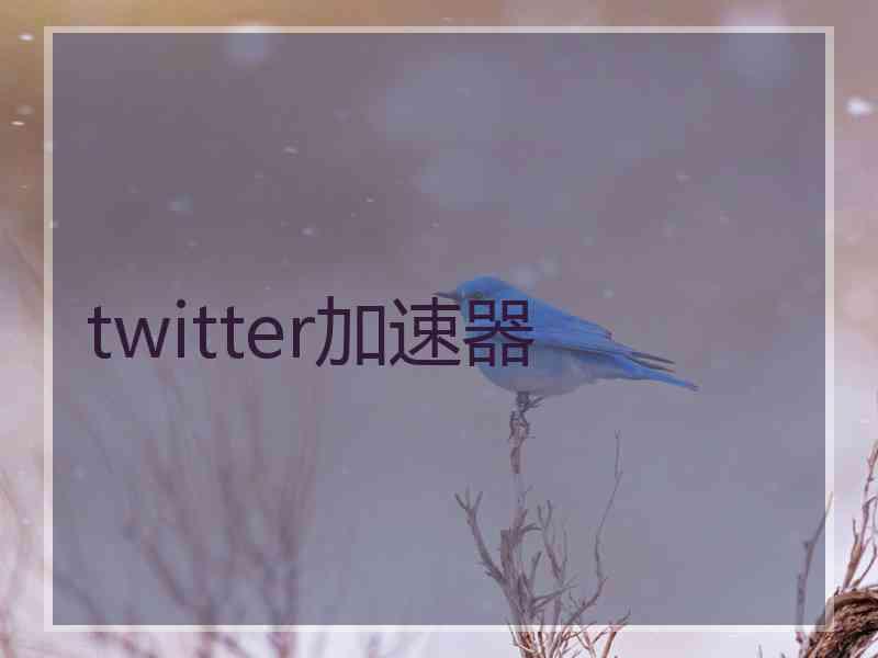 twitter加速器