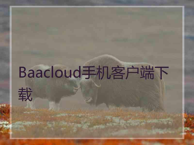 Baacloud手机客户端下载