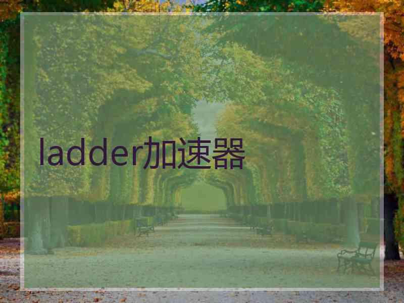 ladder加速器